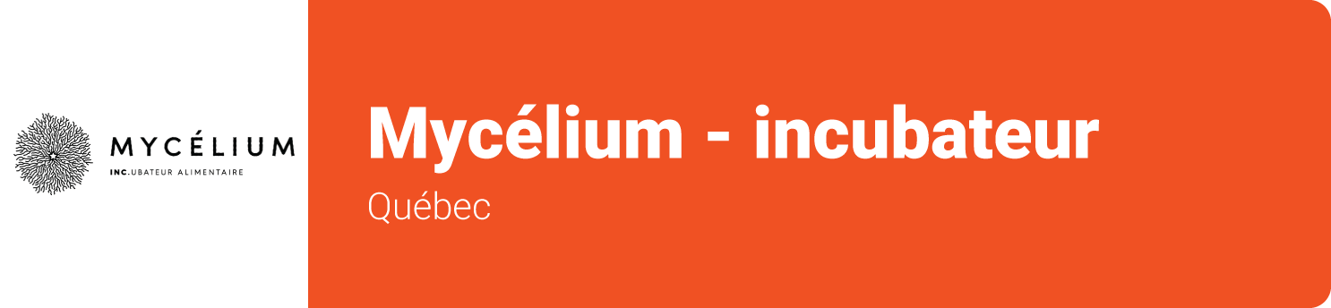 Mycélium