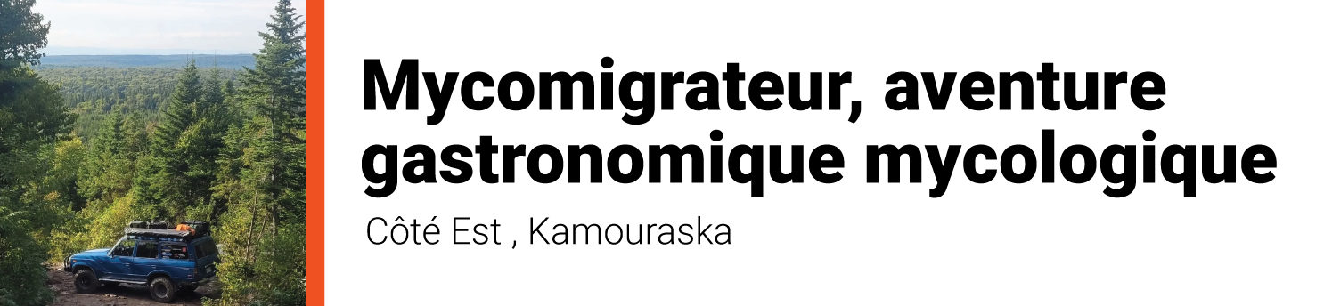 Mycomigrateur, aventure gastronomique mycologique