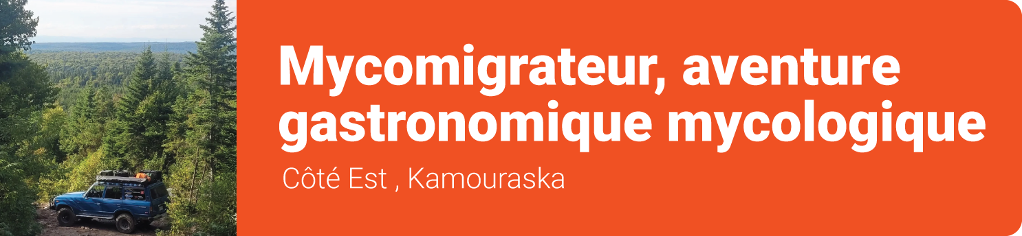 Mycomigrateur, aventure gastronomique mycologique