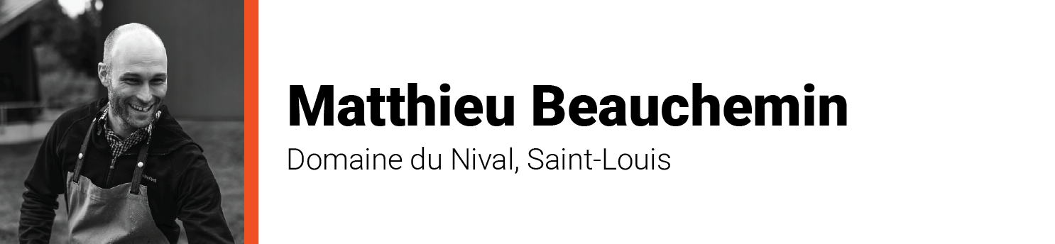 Matthieu Beauchemin